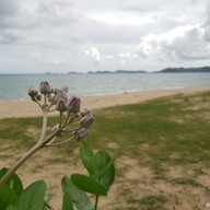 นภานาวี