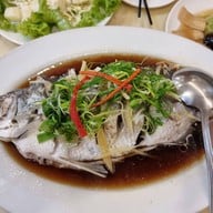 ฟูดู หูฉลาม foodoo