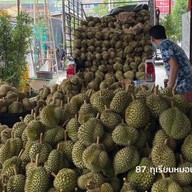 87 ทุเรียนหมอนทอง สี่แยกเทพารักษ์