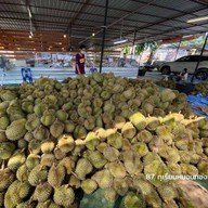87 ทุเรียนหมอนทอง สี่แยกเทพารักษ์
