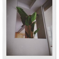 บรรยากาศ PT steakhouse x The Metz