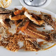 ยางเดี่ยว