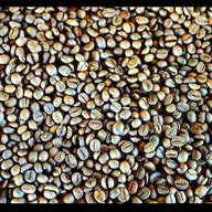 The Patch Specialty Coffee