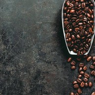 นอร์ทคอฟฟี่ Spt