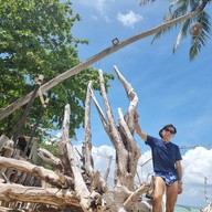 เกาะไหง
