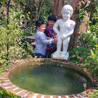 Wali Land Garden Cafe