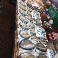 Fish shop ท่าข้าม