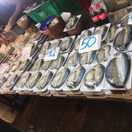 Fish shop ท่าข้าม