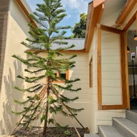 บรรยากาศ ม่อนแจ่ม