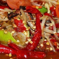 ้้่ บ้านเฝอ ( ลาวแท้ )