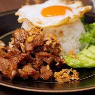 อาหารตามสั่ง อาหารป่า (ป้านก)