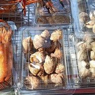 ปลาแซลมอนเสียบไม้ ตลาดเดินเล่น เทอดไท 33