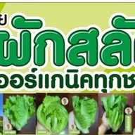 ฮักออร์แกนิคสลัด หมื่นไวย