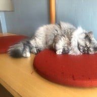 ญ่าคาเฟ่ coffee & desserts phitsanulok