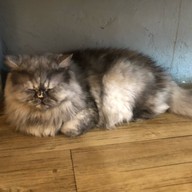 ญ่าคาเฟ่ coffee & desserts phitsanulok