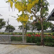 บรรยากาศ ครัวอินทผลัม