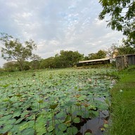 บ้านสวนนารา