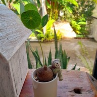 บรรยากาศ Sabaijai Nai Cafe