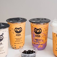 Owl Cha ศาลายา