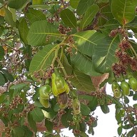 อนุสาวรีย์นายดอกนายทองแก้ว อ่างทอง