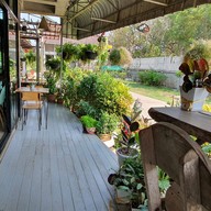 มาเพตรา