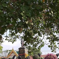 อนุสาวรีย์นายดอกนายทองแก้ว อ่างทอง