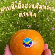 ป้านกแก้วผลไม้ซิ่ง - Nokkaew Fast Fruit สันป่าข่อย