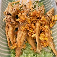 เมนูของร้าน ครัวตรัง