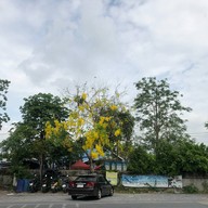 ก๋วยเตี๋ยวเรือนายเก่ง