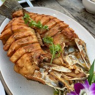 จันทร์เสวย จันทร์เสวย