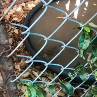 ล้านสุดคั่ว ณ บางกอก