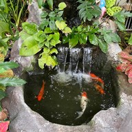 ล้านสุดคั่ว ณ บางกอก