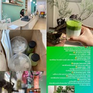 Matcha Story