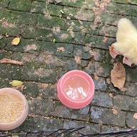 ล้านสุดคั่ว ณ บางกอก