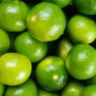 ร้าน ครัวสุดซอยอาหารป่า