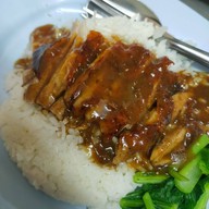 นกเป็ดย่าง