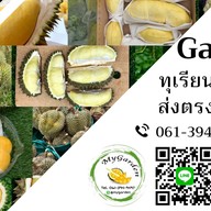 My Garden ทุเรียนและผลไม้คุณภาพ