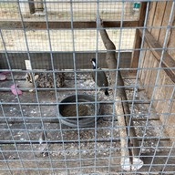 ร้านอาหารใต้บ้านเรา