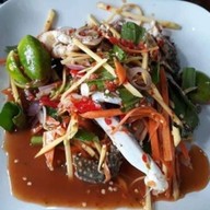 ร้านเจ้กาว ยำแซ่บ เทพา9