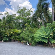 ร้านอาหารใต้บ้านเรา