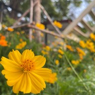 บรรยากาศ RIMTHA CAFE