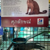 ศูนย์อนุรักษ์แมวไทยโบราณ