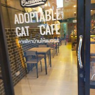 หน้าร้าน Catsanova - Adoptable Cat Cafe