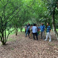 บรรยากาศ SuanMard Agriculture Farm Mukdahan สวนมาศเกษตรเชิงท่องเที่ยว มุกดาหาร