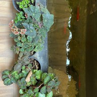 at home cafe& restaurant สารภี