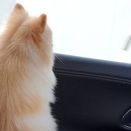 Kaitun บางนา