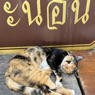 วัดสามพระยา