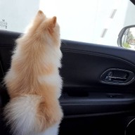 Kaitun บางนา