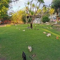 บรรยากาศ Sheep Vil's