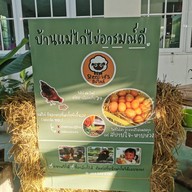 บรรยากาศ Sheep Vil's